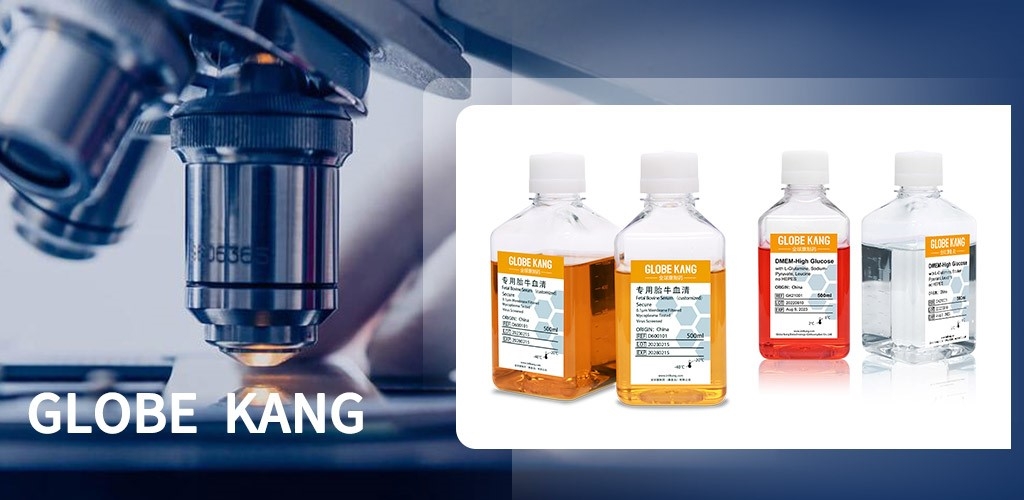 Global Kang Qinhuangdao Biotechnology Co., Ltd.